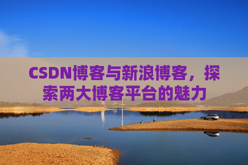 CSDN博客与新浪博客,探索两大博客平台的魅力